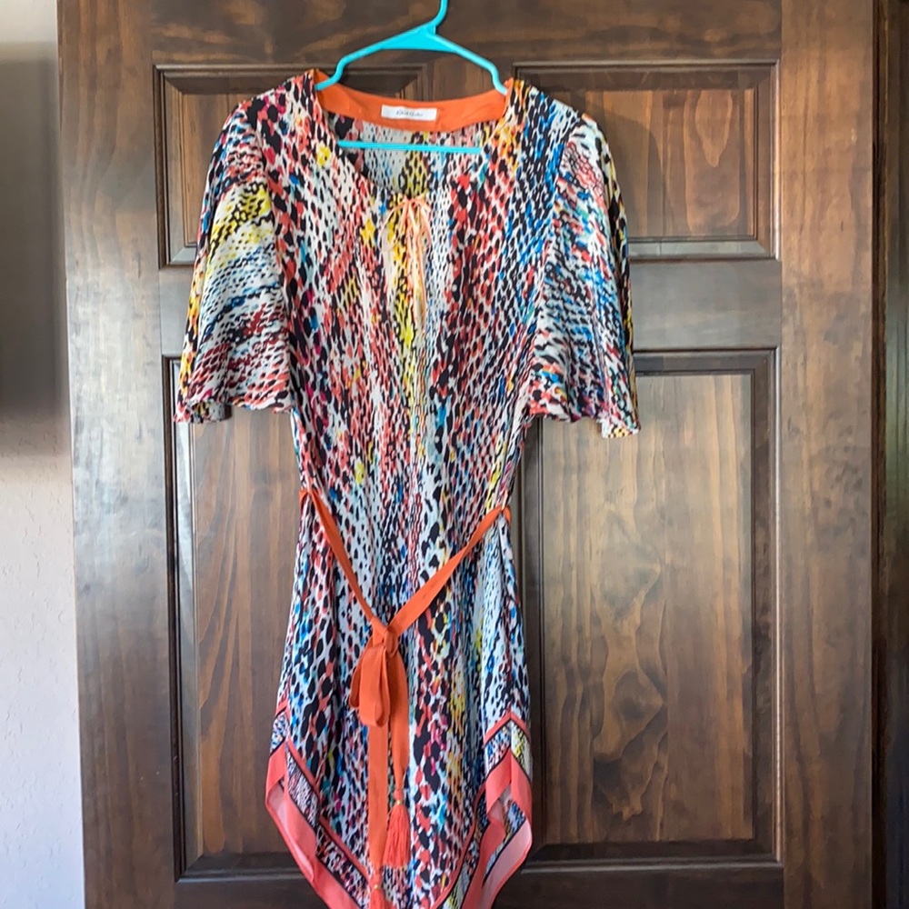 Beautiful silk dress-multi colored-Robert  Graham